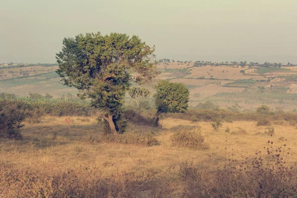 Paesaggio spettacolare di savana che copre le colline durante la stagione secca . — Foto Stock