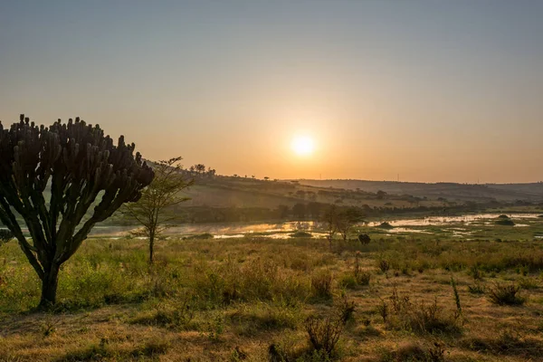 太陽を上げる沼地上の壮大なサバンナの風景です アフリカ ルワンダ — ストック写真
