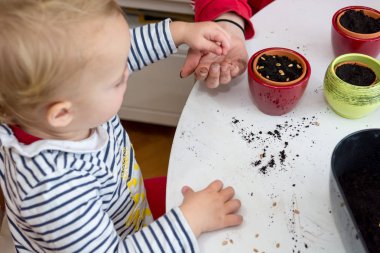 Küçük tencere tohum Ekim çocuk closeup.