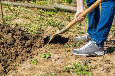 Bir bahçe - işlem kürekle, closeup hazırlanıyor.