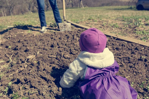 Visão traseira de um bebê observando a jardinagem da primavera . — Fotografia de Stock