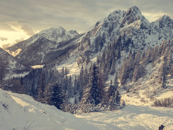 Muhteşem kış dağ manzarası ışıklı güneş ayarlayarak. — Stok fotoğraf