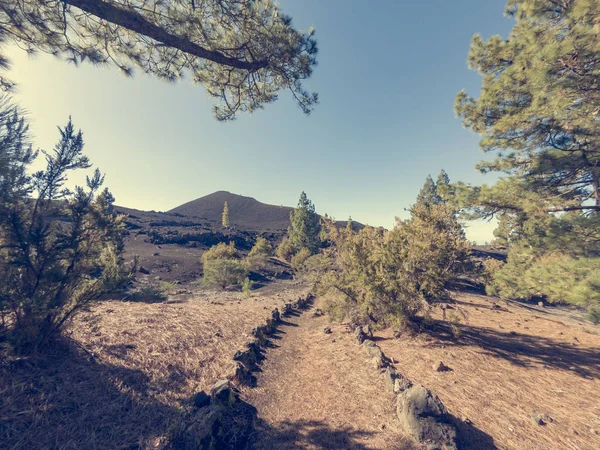 Stien gjennom et spektakulært vulkansk landskap med naturretrett . – stockfoto
