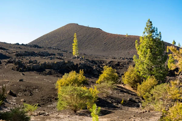 Vulcano Chinyero - L'ultima eruzione risale al 1909 . — Foto Stock