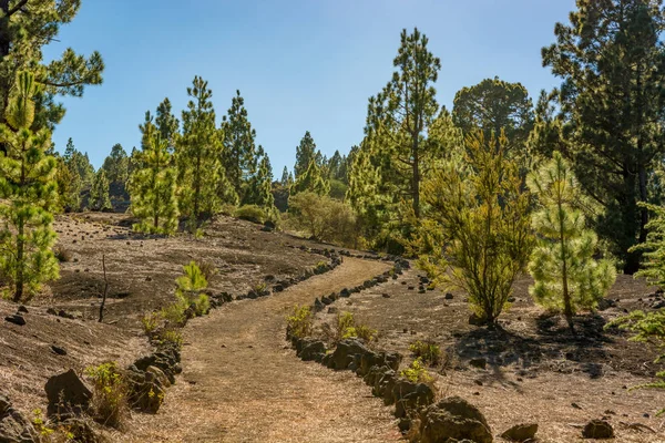 Ampio sentiero che conduce attraverso spettacolari paesaggi vulcanici . — Foto Stock