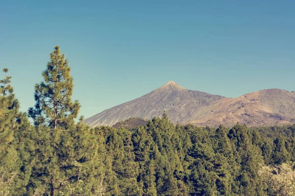 Vulkanen mountain höjning i ett avstånd ovanför tallskogen. — Stockfoto