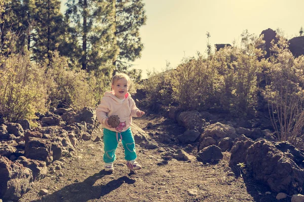 Menina bonito andando ao longo do caminho da floresta e carregando um cone de pinho . — Fotografia de Stock
