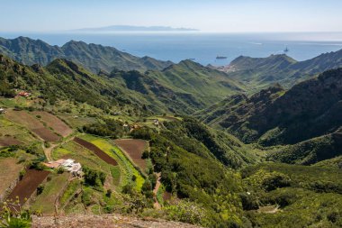 Atlantik Adası kapsayan ormanın muhteşem panoramik görünümü.