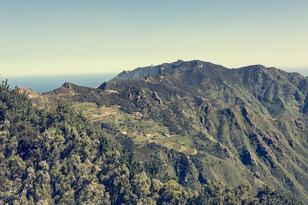 Spektakulär panorama utsikt över skogen som täcker Atlant ön. — Stockfoto