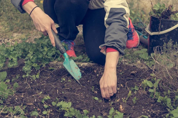 Detail weiblicher Hände, die Unkraut aus dem Garten entfernen. — Stockfoto