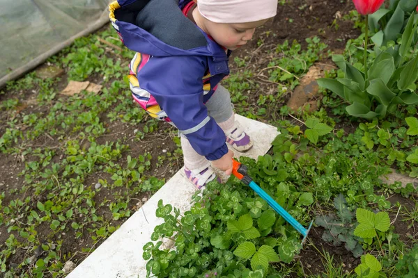Küçük kız bahçe keşfetmek ve bahar temizliği ile yardımcı. — Stok fotoğraf