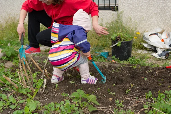 Menina pequena explorando o jardim e ajudando com a limpeza da primavera . — Fotografia de Stock