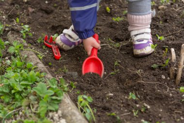 Küçük kız bahçe keşfetmek ve bahar temizliği ile yardımcı.