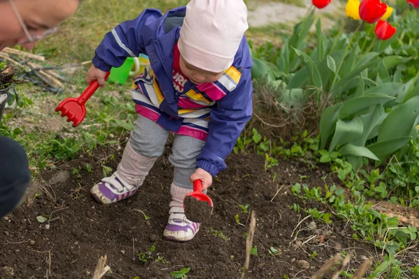 Piccola ragazza che esplora il giardino e aiuta con le pulizie primaverili . — Foto Stock