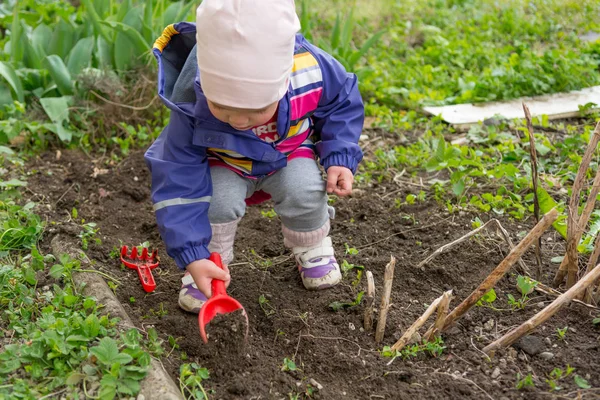 Piccola ragazza che esplora il giardino e aiuta con le pulizie primaverili . — Foto Stock