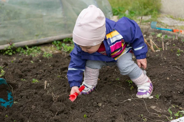 Küçük kız bahçe keşfetmek ve bahar temizliği ile yardımcı.