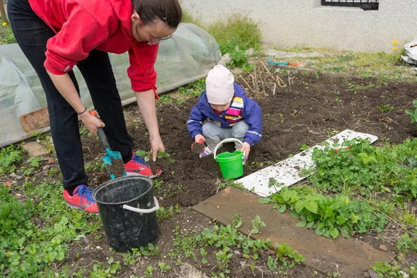 Madre e figlia preparare il giardino per la semina primaverile . — Foto Stock