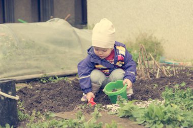 Küçük kız bahçe keşfetmek ve bahar temizliği ile yardımcı.