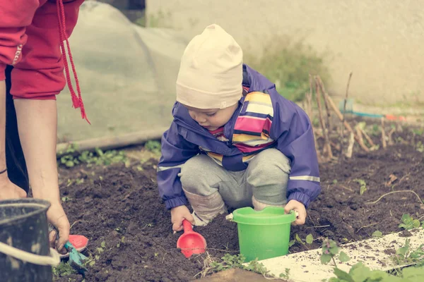 Klein meisje het verkennen van de tuin en helpen met de lente reiniging. — Stockfoto