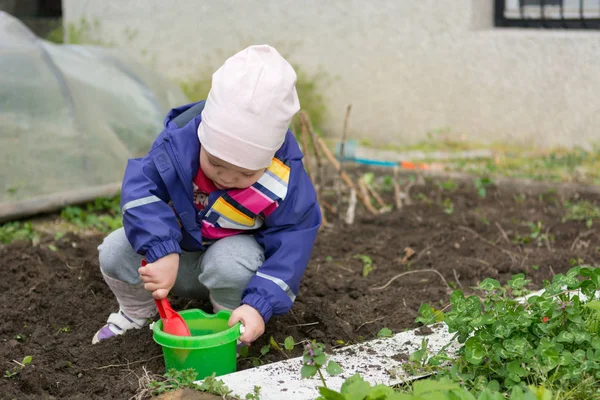 Niña explorando el jardín y ayudando con la limpieza de primavera . —  Fotos de Stock