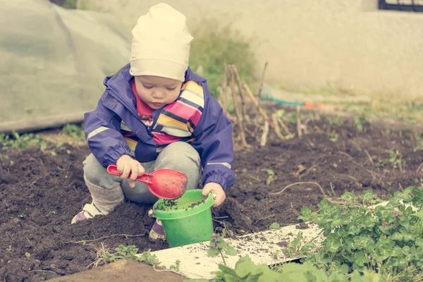 Piccola ragazza che esplora il giardino e aiuta con le pulizie primaverili . — Foto Stock