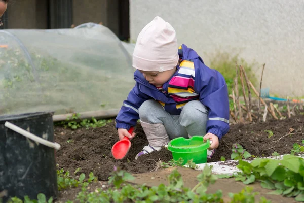 Niña explorando el jardín y ayudando con la limpieza de primavera . —  Fotos de Stock