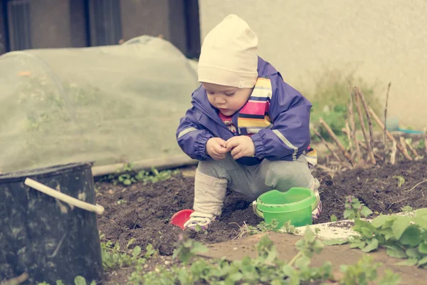 Menina pequena explorando o jardim e ajudando com a limpeza da primavera . — Fotografia de Stock