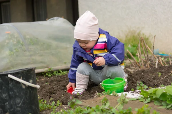 Klein meisje het verkennen van de tuin en helpen met de lente reiniging. — Stockfoto