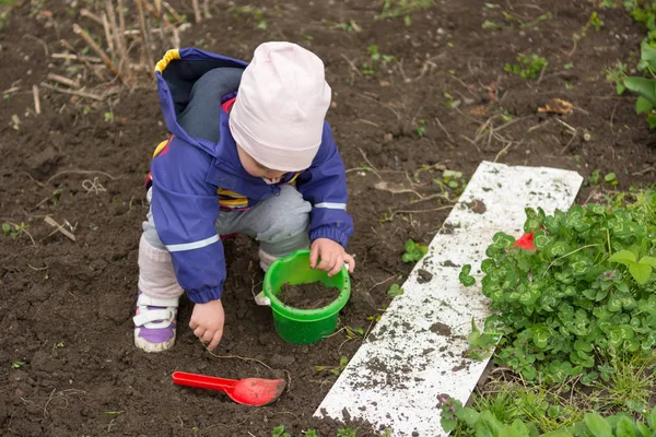 Menina pequena explorando o jardim e ajudando com a limpeza da primavera . — Fotografia de Stock