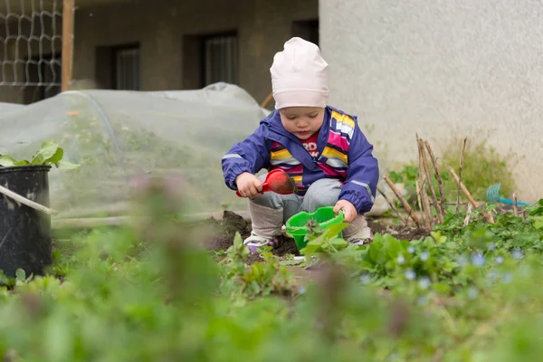Piccola ragazza che esplora il giardino e aiuta con le pulizie primaverili . — Foto Stock