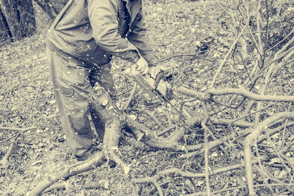 Trabajador que usa motosierra y corta ramas de árboles . — Foto de Stock