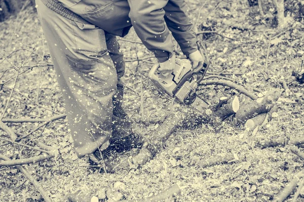 Elektrikli testere kullanan ve ağaç dalları kesen bir işçi. — Stok fotoğraf