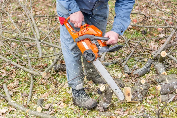 Worker using chain saw and cutting tree branches.