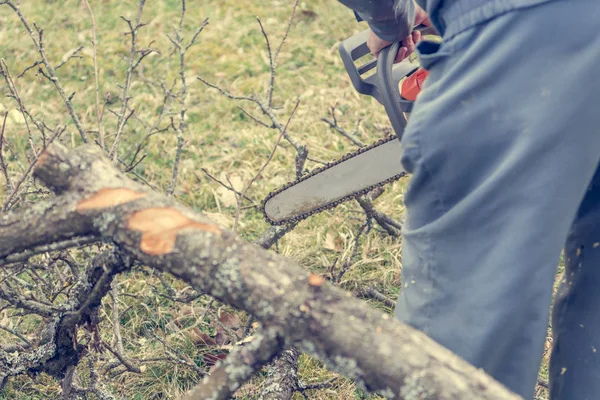 Trabajador que usa motosierra y corta ramas de árboles . — Foto de Stock