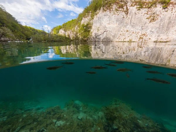 Úžasné rozdělené zobrazení vodopádů padajících do jezera. — Stock fotografie