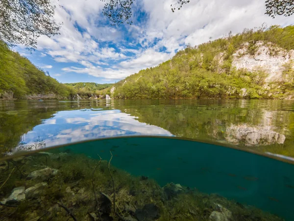 Rozdělené zobrazení krystalové čisté vody se flórou a faunou. — Stock fotografie