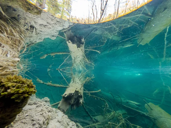 Incredibile vista divisa del lago con tronco d'albero affondato . — Foto Stock