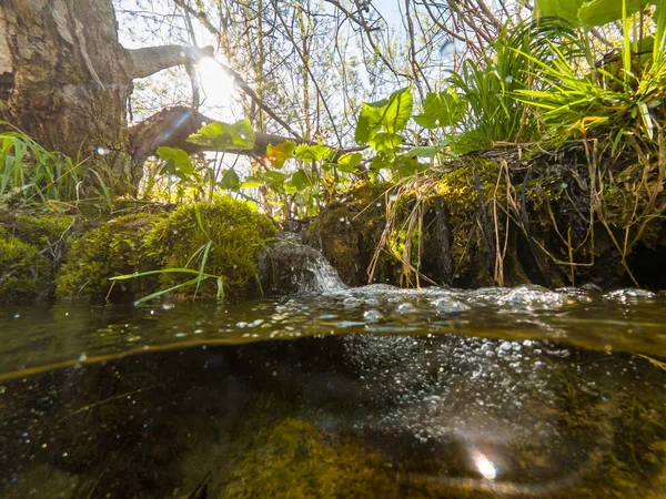 Split vista del torrente foresta con piccola cascata . — Foto Stock