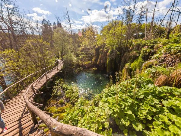 Trä boardwlak passerar vattenfall i natur parken. — Stockfoto