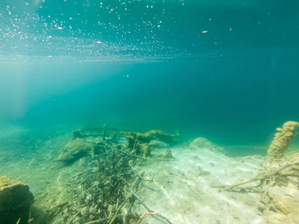 Vista subacquea di flora e fauna nel lago d'acqua dolce . — Foto Stock