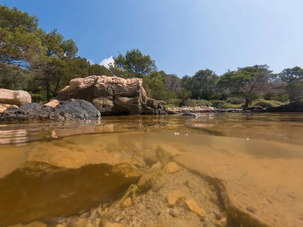 Split utsikt över havet med liten krabba gömmer sig under en klippa. — Stockfoto