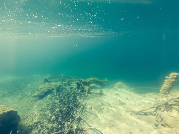 Vista subacquea di flora e fauna nel lago d'acqua dolce . — Foto Stock