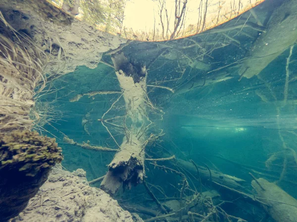 Incredibile vista divisa del lago con tronco d'albero affondato . — Foto Stock