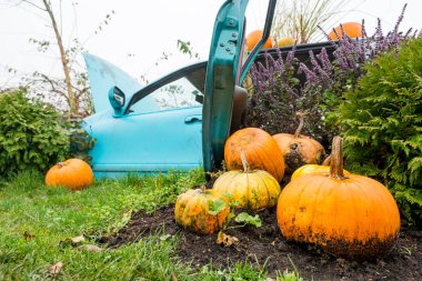Birçok pompa ve fabrika dışarıdaki eski arabayı işgal ediyor..