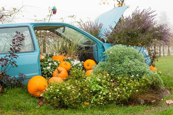 Sok szivattyúk és növények invázió régi autó kültéri. — Stock Fotó