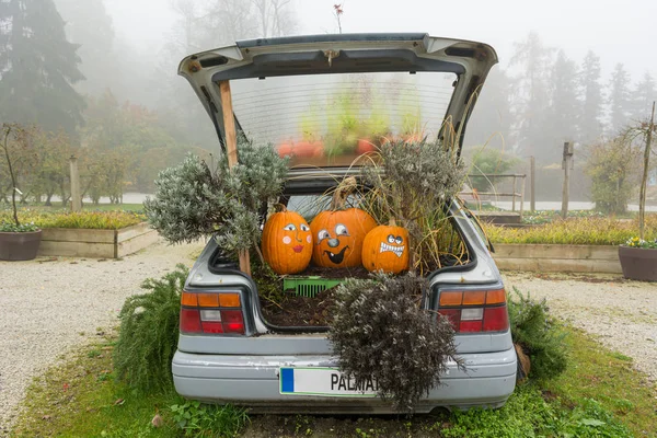 Molte pompe e piante che crescono in auto vecchia all'aperto. — Foto Stock