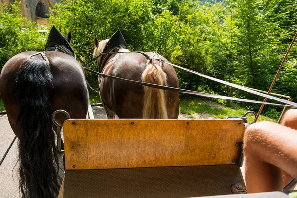 Καβάλα σε άμαξα τραβηγμένη από ένα ζευγάρι άλογα. — Φωτογραφία Αρχείου