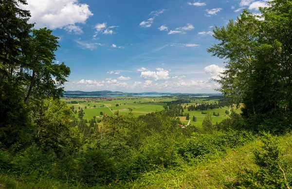 Vista panorâmica da ribeirinha com pastagens e campos verdes . — Fotografia de Stock
