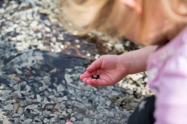 Seitenansicht eines jungen Mädchens, das Kaulquappen in einem See fängt und beobachtet. — Stockfoto