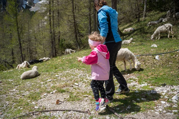 Mãe e filha olhando para o rebanho de ovelhas na natureza. — Fotografia de Stock